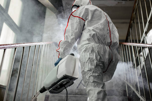 Why You Should Choose Our Mold Remediation Services in West Burlington, IA